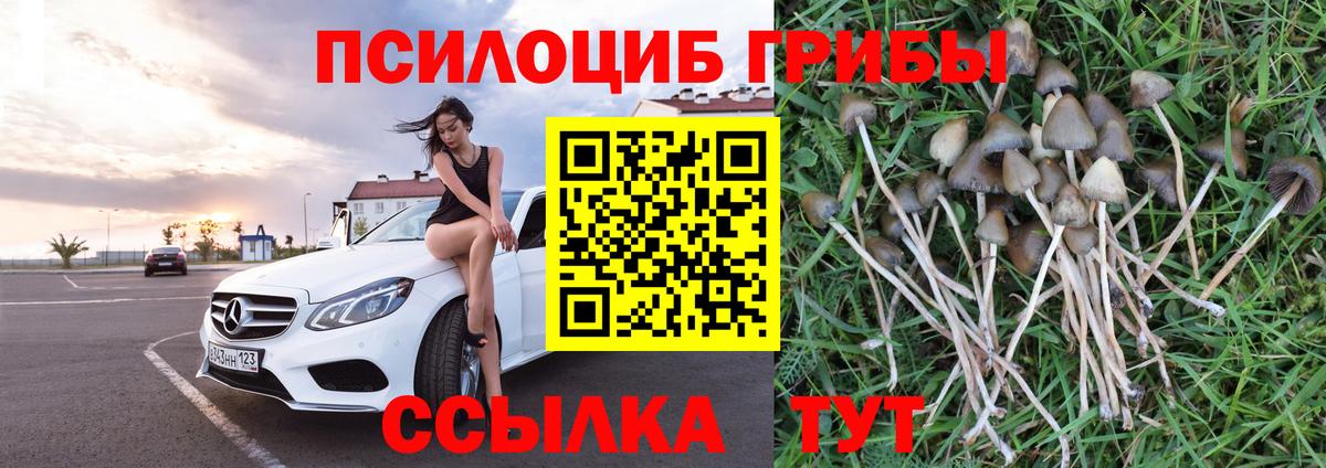 Галлюциногенные грибы прущие грибы  Вход с VPN  Азов 