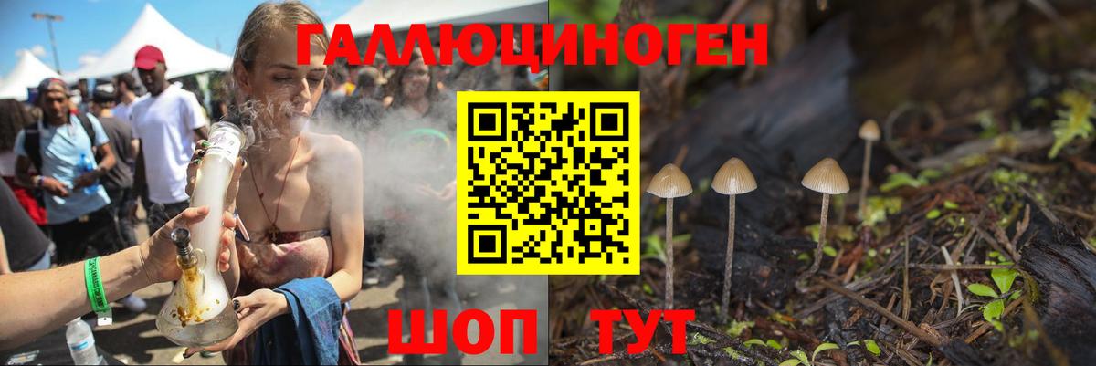 Псилоцибиновые грибы Psilocybe Азов